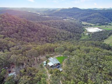 Lifestyle For Sale - NSW - Laguna - 2325 - On Top of the World!  (Image 2)
