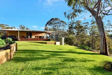 Lifestyle For Sale - NSW - Laguna - 2325 - On Top of the World!  (Image 2)