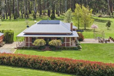 House For Sale - VIC - Korweinguboora - 3461 - Quiet Luxury in the Country  (Image 2)