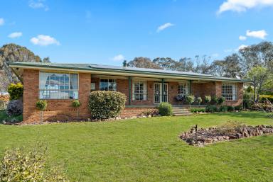 Lifestyle Auction - NSW - Parkesbourne - 2580 - 25 Acres of Country Lifestyle Living  (Image 2)