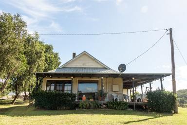 Lifestyle For Sale - NSW - Laguna - 2325 - Laguna Lodge - A Rare Country Retreat in the Lower Hunter Valley  (Image 2)