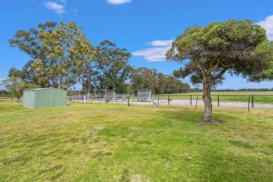 Other (Rural) Auction - WA - Birchmont - 6214 - Lifestyle, Location & Horses  (Image 2)