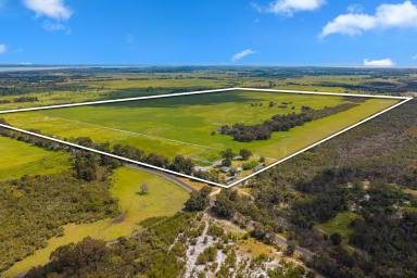 Other (Rural) Auction - WA - Birchmont - 6214 - Lifestyle, Location & Horses  (Image 2)