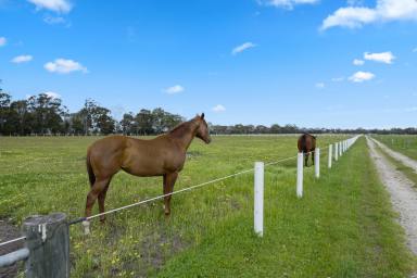 Other (Rural) Auction - WA - Birchmont - 6214 - Lifestyle, Location & Horses  (Image 2)