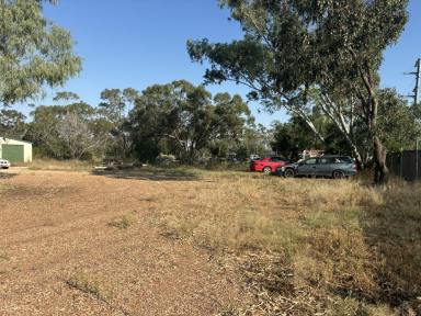 Industrial/Warehouse Auction - NSW - Lightning Ridge - 2834 - 26 Nobby Road, Lightning Ridge  (Image 2)