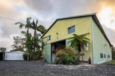 Acreage/Semi-rural For Sale - NSW - Woodburn - 2472 - Flood-Free Waterfront Primary Production Commercial Opportunity - 8,000m² of Infrastructure, Access & Unlimited Potential (Image 2)