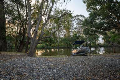 Acreage/Semi-rural For Sale - NSW - Woodburn - 2472 - Flood-Free Waterfront Primary Production Commercial Opportunity - 8,000mÂ² of Infrastructure, Access & Unlimited Potential  (Image 2)