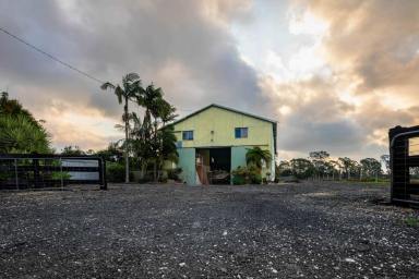 Acreage/Semi-rural For Sale - NSW - Woodburn - 2472 - Flood-Free Waterfront Primary Production Commercial Opportunity - 8,000m² of Infrastructure, Access & Unlimited Potential (Image 2)