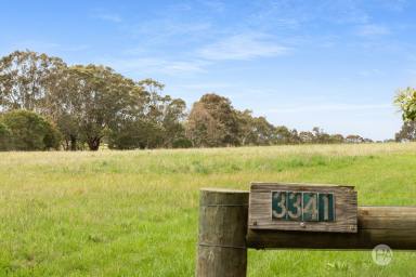 Acreage/Semi-rural For Sale - VIC - Merricks - 3916 - Rare Opportunity On 10 Acre Allotment  (Image 2)