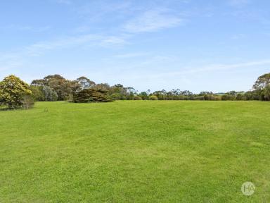 Acreage/Semi-rural For Sale - VIC - Merricks - 3916 - Rare Opportunity on 10 acre Allotment  (Image 2)