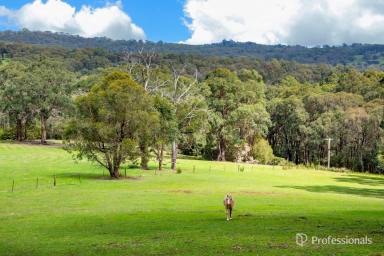 House For Sale - VIC - Launching Place - 3139 - A PRIVATE 51 ACRE HAVEN WITH PANORAMIC YARRA VALLEY VIEWS  (Image 2)
