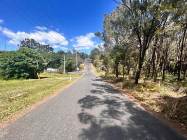Residential Block For Sale - QLD - Macleay Island - 4184 - Private block close to town  (Image 2)