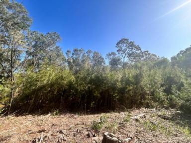 Residential Block For Sale - QLD - Macleay Island - 4184 - Private block close to town  (Image 2)
