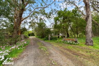 Lifestyle For Sale - VIC - Binginwarri - 3966 - "DOROTHY'S" - YOUR LUSH, GREEN OASIS ON 5 ACRES  (Image 2)
