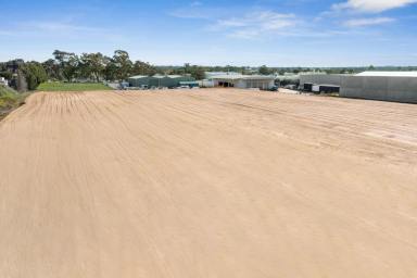 Land/Development For Sale - VIC - East Bendigo - 3550 - SIGNIFICANT EAST BENDIGO INDUSTRIAL DEVELOPMENT SITE  (Image 2)