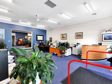 Office(s) For Sale - NSW - Mittagong - 2575 - Tenanted Office Space in the Heart of Mittagong  (Image 2)