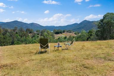 House For Sale - QLD - Samsonvale - 4520 - Countryside Charm, Contemporary Comfort  (Image 2)