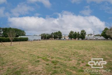 Residential Block For Sale - NSW - Glen Innes - 2370 - Vacant Land in Glen Innes!  (Image 2)