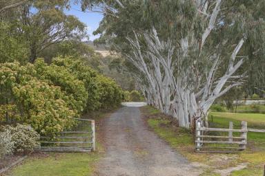 Lifestyle For Sale - VIC - Smythesdale - 3351 - Tranquil Lifestyle Property – Perfect for Horse Enthusiasts  (Image 2)