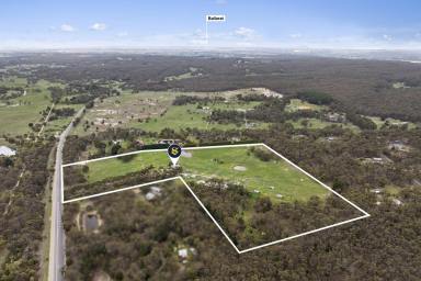 Lifestyle For Sale - VIC - Smythesdale - 3351 - Tranquil Lifestyle Property – Perfect for Horse Enthusiasts  (Image 2)