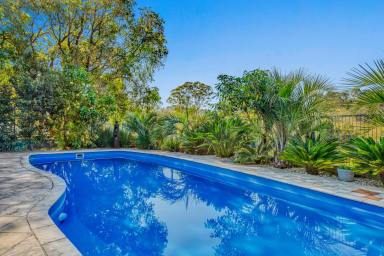 Lifestyle For Sale - NSW - Wyneden - 2474 - Rural Escape on 52 Acres  (Image 2)