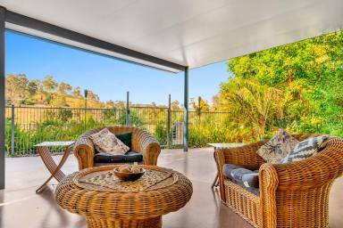 Lifestyle For Sale - NSW - Wyneden - 2474 - Rural Escape on 52 Acres  (Image 2)