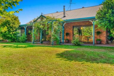 Lifestyle For Sale - NSW - Wyneden - 2474 - Rural Escape on 52 Acres  (Image 2)