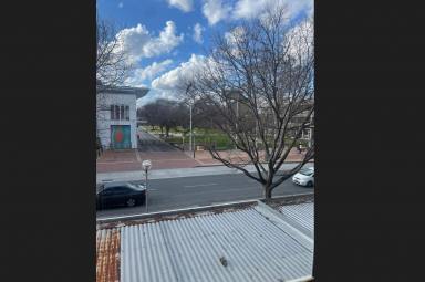 Unit For Lease - NSW - Albury - 2640 - Absolute Central Albury Living  (Image 2)
