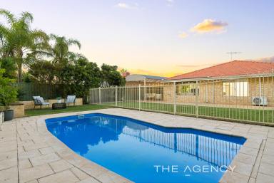 House For Sale - WA - Joondalup - 6027 - SPACIOUS FAMILY RETREAT WITH POOL & ALFRESCO  (Image 2)