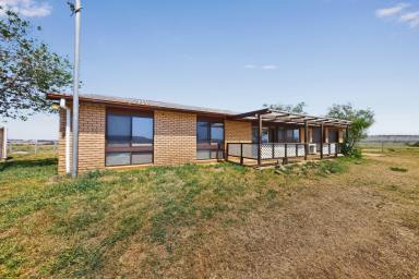 Acreage/Semi-rural For Sale - NSW - Merriwa - 2329 - 'Milton' views for miles!  (Image 2)