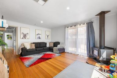 House For Sale - VIC - Merbein - 3505 - TAKE A STEP ONTO THE PROPERTY LADDER  (Image 2)
