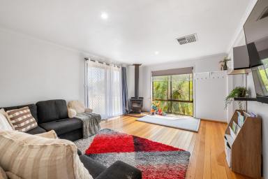 House For Sale - VIC - Merbein - 3505 - TAKE A STEP ONTO THE PROPERTY LADDER  (Image 2)