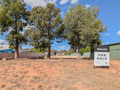 Residential Block For Sale - VIC - Nyah - 3594 - Endless Potential on 2,037m² (Approx.) in the Heart of Nyah - Dual Frontage – Ready to Build or Develop! (Image 2)