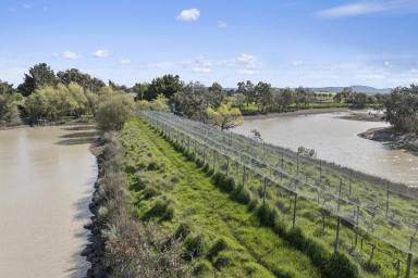 Lifestyle For Sale - VIC - Clunes - 3370 - Beautifully Appointed Rural Property (Image 2)