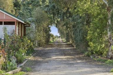 Lifestyle For Sale - VIC - Clunes - 3370 - Beautifully Appointed Rural Property (Image 2)