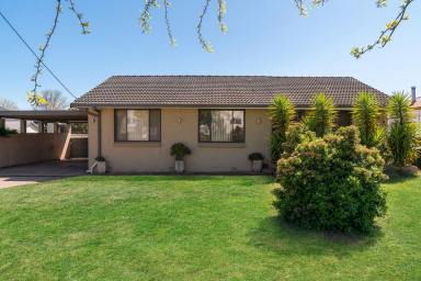 House For Sale - NSW - Mudgee - 2850 - DUAL-INCOME INVESTMENT OPPORTUNITY (Image 2)