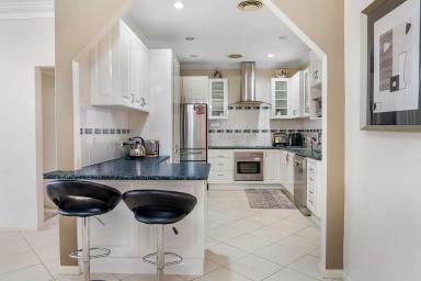 House For Sale - NSW - Mudgee - 2850 - DUAL-INCOME INVESTMENT OPPORTUNITY  (Image 2)