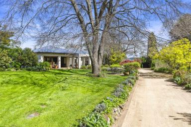 Lifestyle For Sale - NSW - Tumbarumba - 2653 - HIGH RAINFALL, FIRST-CLASS RURAL LIFESTYLE  (Image 2)