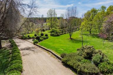 Lifestyle For Sale - NSW - Tumbarumba - 2653 - HIGH RAINFALL, FIRST-CLASS RURAL LIFESTYLE  (Image 2)