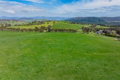 Lifestyle For Sale - NSW - Tumbarumba - 2653 - HIGH RAINFALL, FIRST-CLASS RURAL LIFESTYLE  (Image 2)