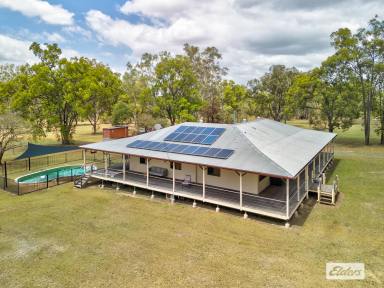 Acreage/Semi-rural For Sale - QLD - Churchable - 4311 - Race-Ready & Lifestyle Perfect: Premier Greyhound Facility on 40 Acres  (Image 2)