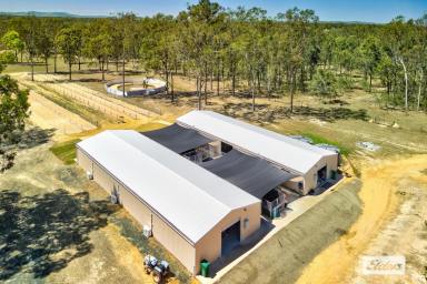 Acreage/Semi-rural For Sale - QLD - Churchable - 4311 - Race-Ready & Lifestyle Perfect: Premier Greyhound Facility on 40 Acres (Image 2)