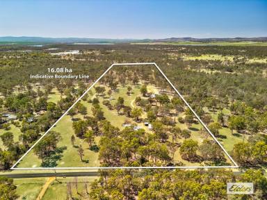 Acreage/Semi-rural For Sale - QLD - Churchable - 4311 - Race-Ready & Lifestyle Perfect: Premier Greyhound Facility on 40 Acres (Image 2)