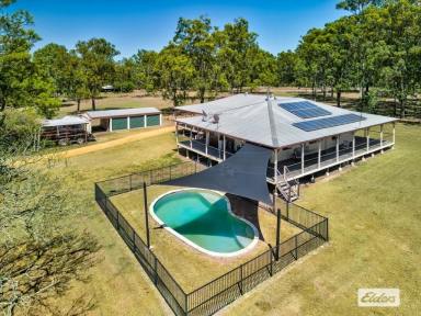 Acreage/Semi-rural For Sale - QLD - Churchable - 4311 - Race-Ready & Lifestyle Perfect: Premier Greyhound Facility on 40 Acres  (Image 2)