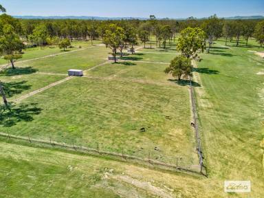 Acreage/Semi-rural For Sale - QLD - Churchable - 4311 - Race-Ready & Lifestyle Perfect: Premier Greyhound Facility on 40 Acres  (Image 2)