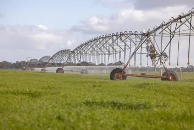 Other (Rural) For Sale - SA - Penola - 5277 - EXPRESSIONS OF INTEREST CLOSING – 11am Thursday 27th November 2025  (Image 2)