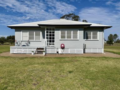 House Auction - NSW - Pallamallawa - 2399 - Lifestyle Acreage with Space, Shedding & Recreation  (Image 2)
