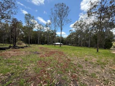 Residential Block For Sale - QLD - Wondecla - 4887 - Build Your Dream Family Home and Connect with Nature  (Image 2)
