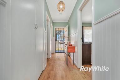 Other (Rural) For Sale - VIC - Calivil - 3573 - Giddy Up - We've Found Your Perfect Horse Property! (Image 2)