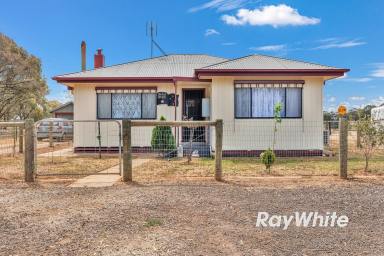Other (Rural) For Sale - VIC - Calivil - 3573 - Giddy Up - We've Found Your Perfect Horse Property! (Image 2)
